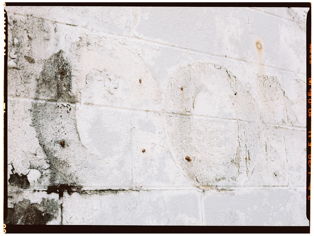 Mold Remediation service in Des Moines, IA