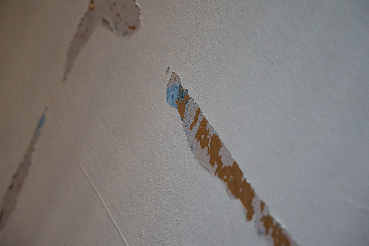 Storm Damage Repair service in Des Moines, IA